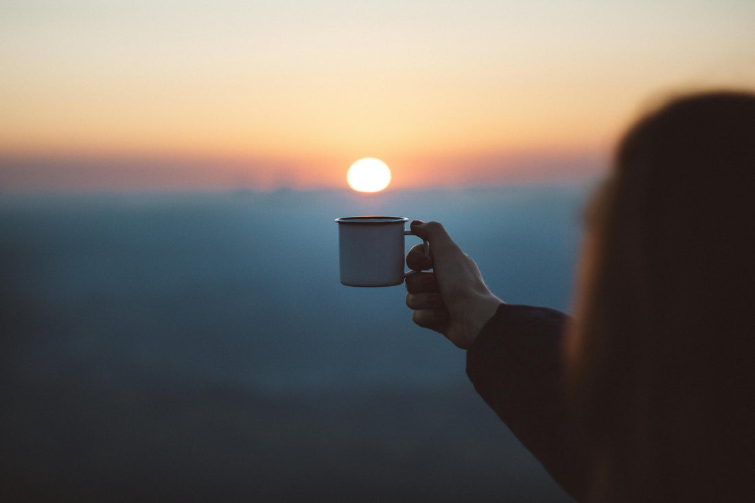 Chef Blogs Lion's Mane and Chaga Coffee